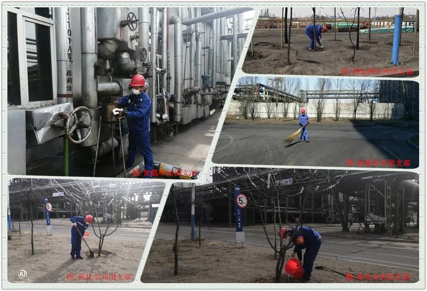 1586910785408025.jpeg 1586910785408025.jpeg