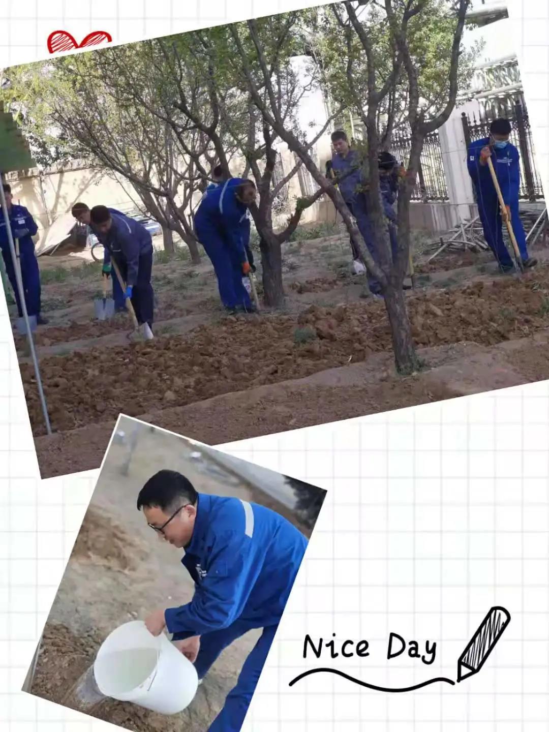 1623329065167205.jpeg 5.jpg