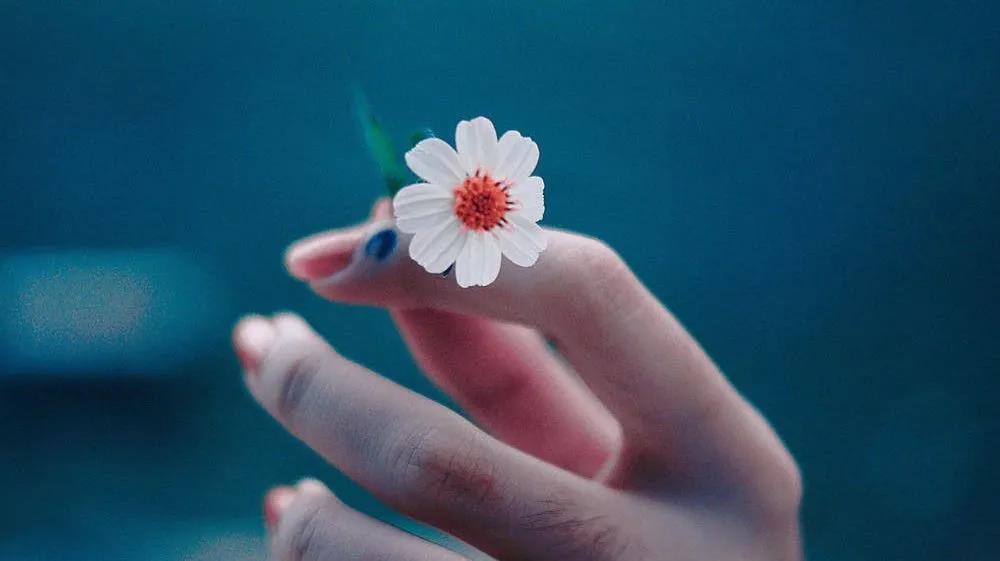 1624680467900778.jpeg 微信圖片_20210626120733.jpg