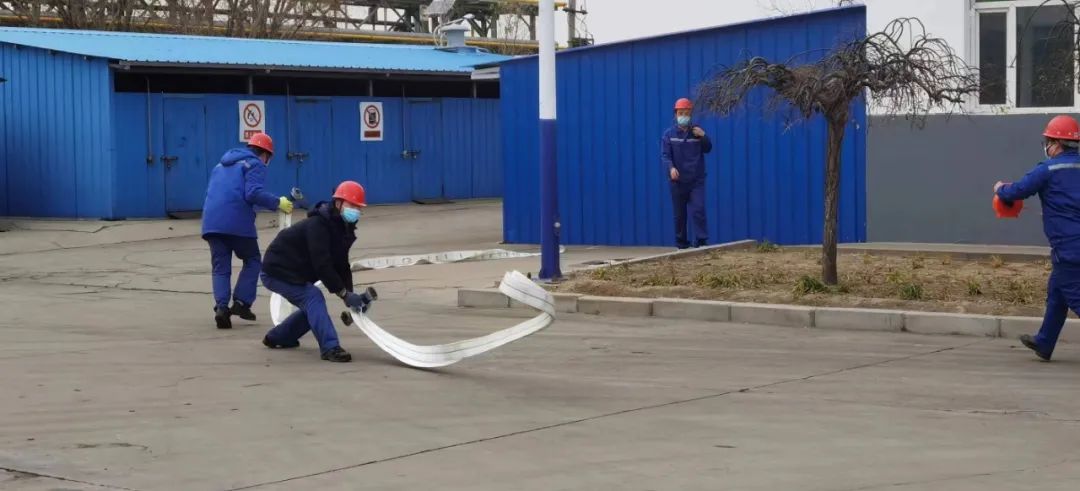 1669256830383727.jpeg 33.jpg