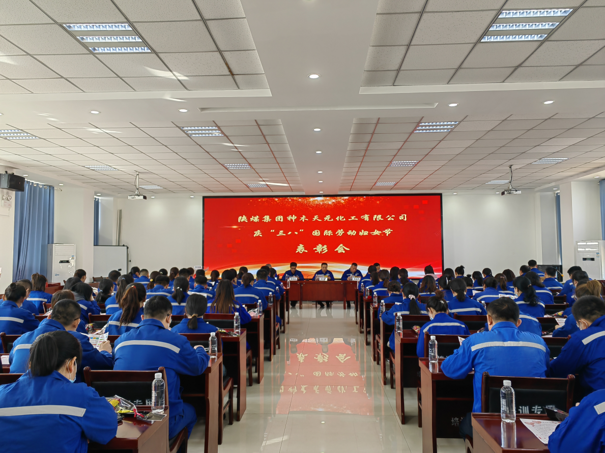 1678235489830256.png 1.1.png