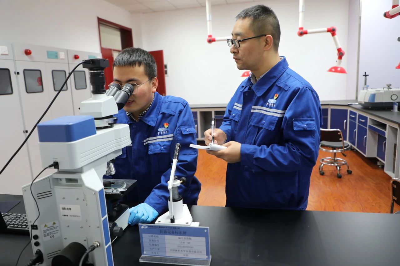 1734055397491272.jpeg 3.jpg