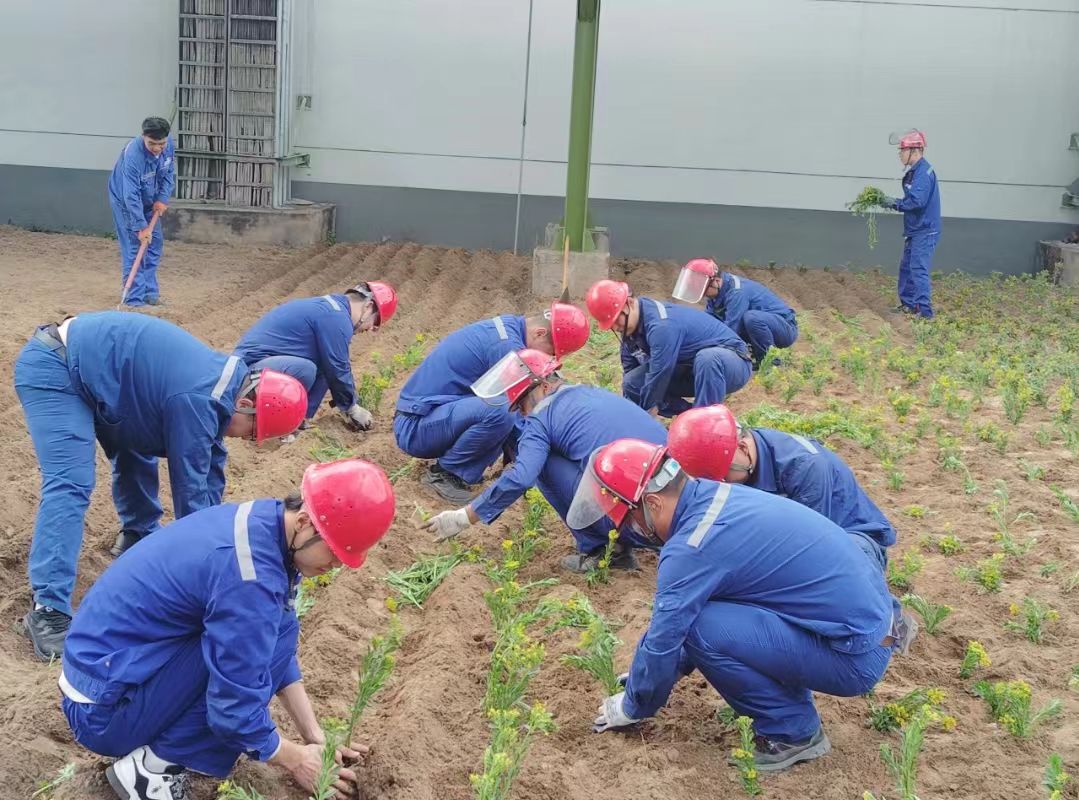 1752542531265624.jpeg 1752542531265624.jpeg