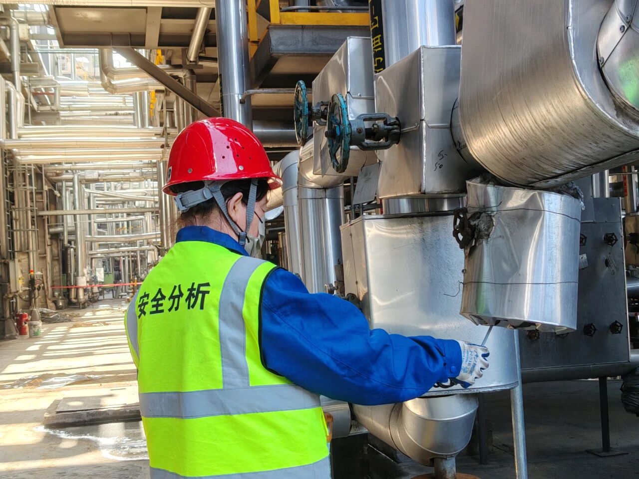 1757899525398826.jpeg 1757899525398826.jpeg