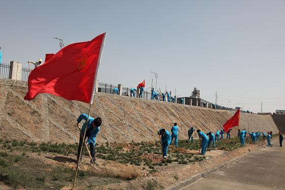 植樹活動現(xiàn)場